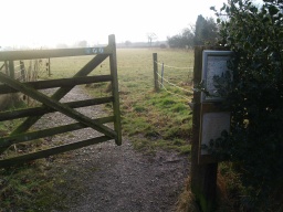 Image on trail